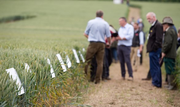 a group of people standing in a field
